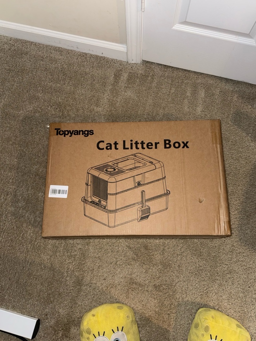 Covered Cat Litter Box in Brown